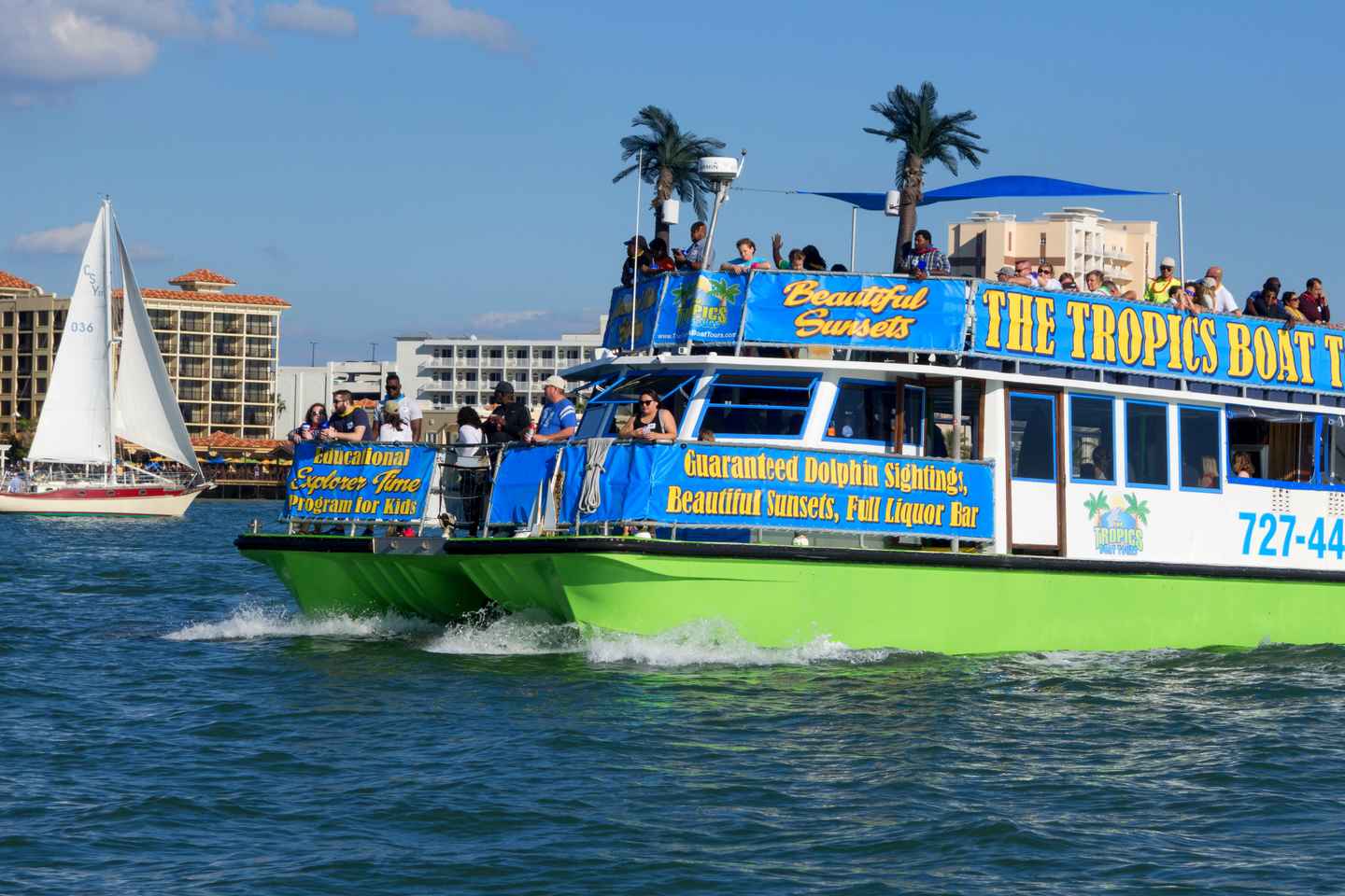 Clearwater: Cruise with Guaranteed Dolphin Sightings thumbnail
