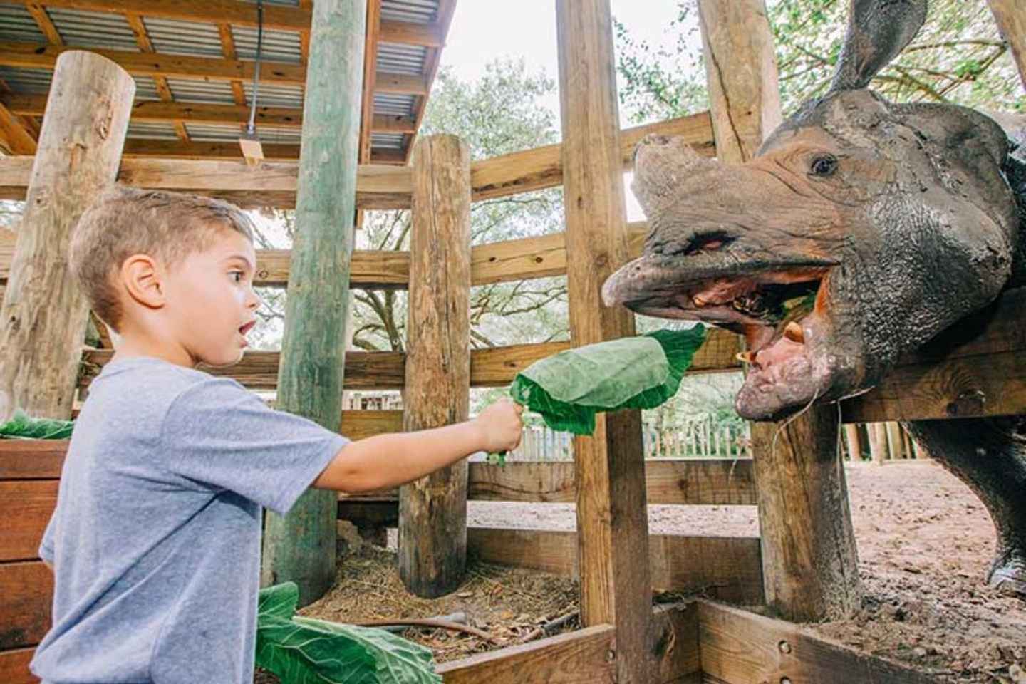 Tampa: ZooTampa at Lowry Park Entry Ticket thumbnail